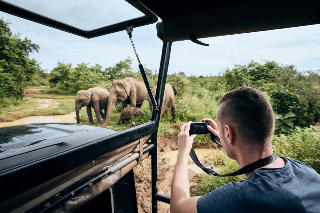Best Wildlife Safari Private Tour Sri Lanka 1 Wildlife Safaris